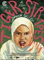 TIGER STRIPES poster