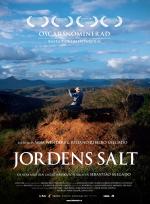 Jordens salt - en resa med Sebastião Salgado poster
