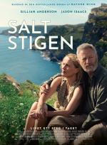 Saltstigen poster