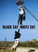 Svart katt, vit katt poster