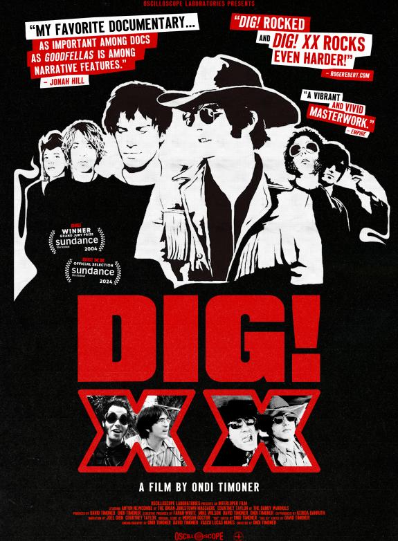 DIG! XX poster