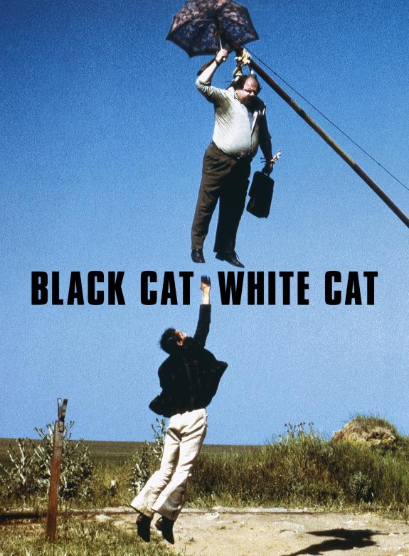 Svart katt, vit katt poster
