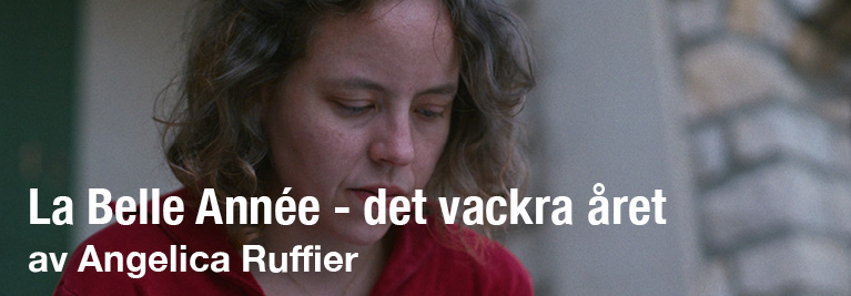 det vackra året det vackra året