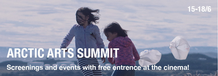 arctic arts summit